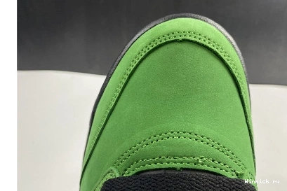 Air “Oregon” 5 Jordan 1015